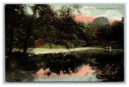 Lily Pond City Park Bridgeton New Jersey NJ DB Postcard T3 - £3.06 GBP