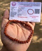 LABOR-ZERTIFIZIERTES Natürliches Rudraksha 5 Mukhi Rudraksh Armband Verstellb... - $16.75