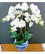 Triple White Phalaenopsis Orchid in Blue White Asian Pot Arrangement - $486.43 CAD