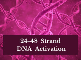 24-48 Strand DNA Activation - £75.84 GBP