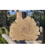 Petrified Wood Stone Decorative Crystal Slice (M20) - $30.61 CAD