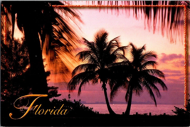 Postcard Florida Silhouetted Palm Trees at Sunrise Photo by D. Kelly 6 x... - $4.95