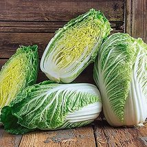 200+ Count Napa Michihili Heading Cabbage Seed, Heirloom, Non GMO Seed Tasty Hea - £7.10 GBP