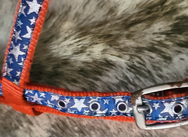 Red White and Blue Nylon Bridle with reins Used image 3