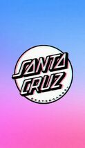 Santa Cruz Skateboards 12x8in Inches Aluminum Metal Sign Collage Thrashe... - $24.74