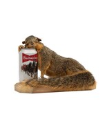 Drunk Squirrel with Beer Can Taxidermy Animal Statue on Base - €341,01 EUR Drunk Squirrel with Beer Can Taxidermy Animal Statue on Base - €341,01 EUR