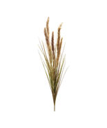 Foxtail Grass Bush (Set of 6) - 885915 - €61,62 EUR
