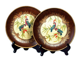 Zeckos Pair of 10 Inch Diameter Parrot Decorative Plates - £57.21 GBP