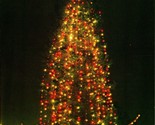 Champion Christmas Tree at Night Tacoma WA Washington UNP Chrome Postcar... - $3.91