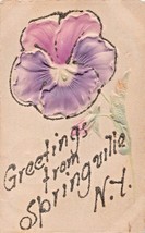 Greetings From Springvile New YORK-FLOWER-GLITTER~1908 Pstmk To West Ny Postcard - £5.92 GBP