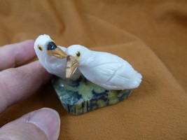 y-bir-lo-450 Lovebirds pair birds white onyx gemstone SOAPSTONE figurine... - $20.56