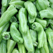 Cubanelle Pepper Seeds 50 Sweet Vegetable Fresh Garden Fast Shipping - $3.88