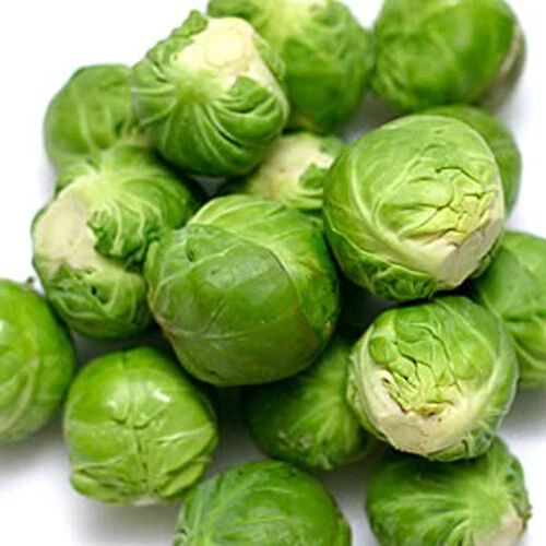Exotic 200  Brussel Sprouts Seeds Catskill Brussel Sprouts (Brassica ole... - $3.19