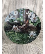THE RABBIT Plate Edwin Knowles China Friends of the Forest Kevin Daniel ... - £9.38 GBP