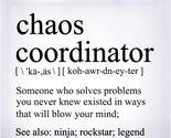 Chaos Coordinator - Funny Staff, Leader Appreciation Gift for Manager Bu... - £20.44 GBP