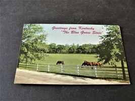 Greetings from Kentucky, The Blue Grass State - 1967 Postmarked Postcard. - £5.14 GBP