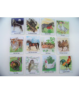 &quot;Read&quot; Memory Card Game 100 Animal Zoo, Farm Cards for Children, Kids 1 ... - £11.78 GBP