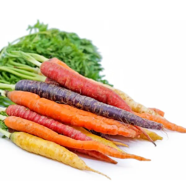Fresh Rainbow Carrot Seeds For Planting Non Gmo &amp; Heirloom Vegetable Seeds 750 C - £14.10 GBP