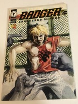 Badger Shattered Image Comic Book #1 Of 4 - £3.88 GBP