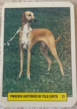 ⭕⭕VTG pocket calendar 1993 DOGS MANIL PINSCHER  N21 - $4.46