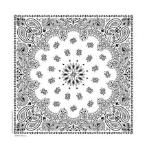 Carolina Creative Bandanna (White) Paisley Print 35&quot; x 35&quot; Hav-A-Hank X-... - $225.67 MXN