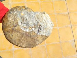 Item image 14