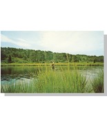 Striking Cape Cod, Mass/MA Postcard, Fisherman - $7.52 CAD