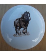 Cabinet Knobs Knob Shire Draft Horse Clydesdale - €4,48 EUR