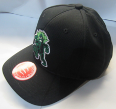 Minor League Baseball Raised Replica Hat Eugene Emeralds Style MIN 350 Youth - £15.72 GBP