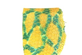 Python Print-on Tilapia Fish Leather Skin Hide Metallic Glitter Yellow - £4.90 GBP