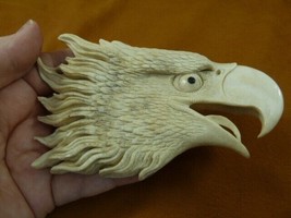Eag-45) white bald eagle head shed moose antler figurine detailed fierce... - $143.04