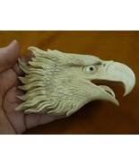 Eag-45) white bald eagle head shed moose antler figurine detailed fierce... - €121,93 EUR