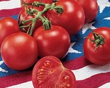 42 Day Tomato Seeds Fastest Tomato In The World To Ripen  30 Seeds Seeds... - $8.99