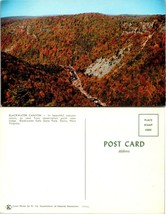 West Virginia(WV) Davis Blackwater Falls State Park Canyon Fall Vintage Postcard - £7.37 GBP