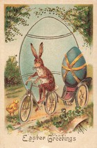 Rabbit Rides Bicycle pulls Trailer Decorated Egg-Easter Greetings 1910s POSTCARD - £14.31 GBP
