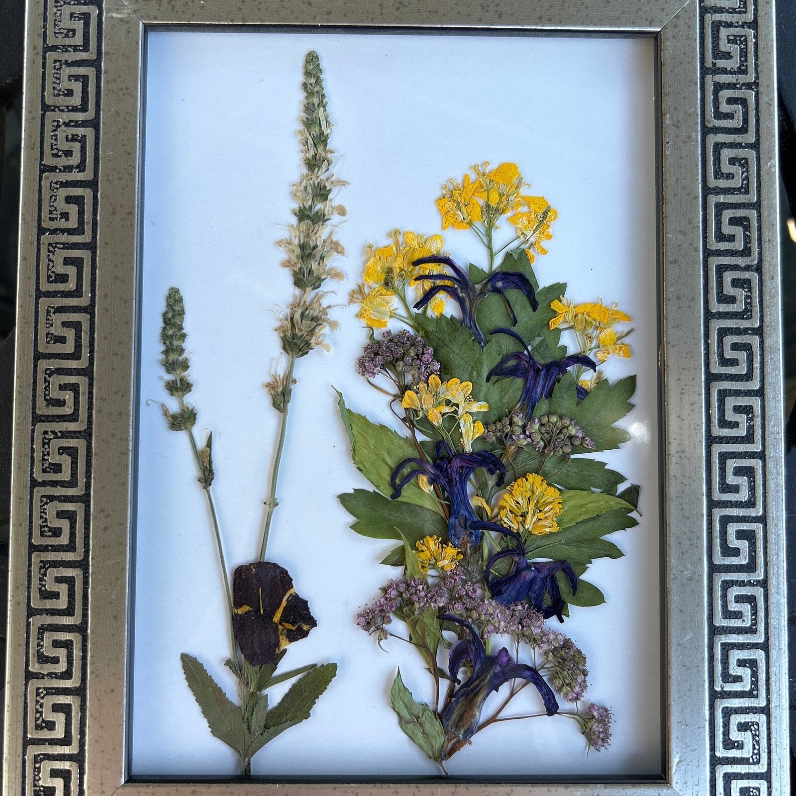 Dried Flower Original Artwork Framed Fresh Gardening - $84.00
