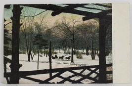 NYC Sleighing in Central Park New York c1910 Postcard T14 - £3.89 GBP