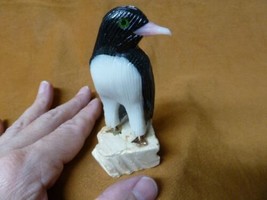 (Y-PEN-351) X Large Black Onyx PENGUIN bird gemstone FIGURINE stone carv... - £22.36 GBP