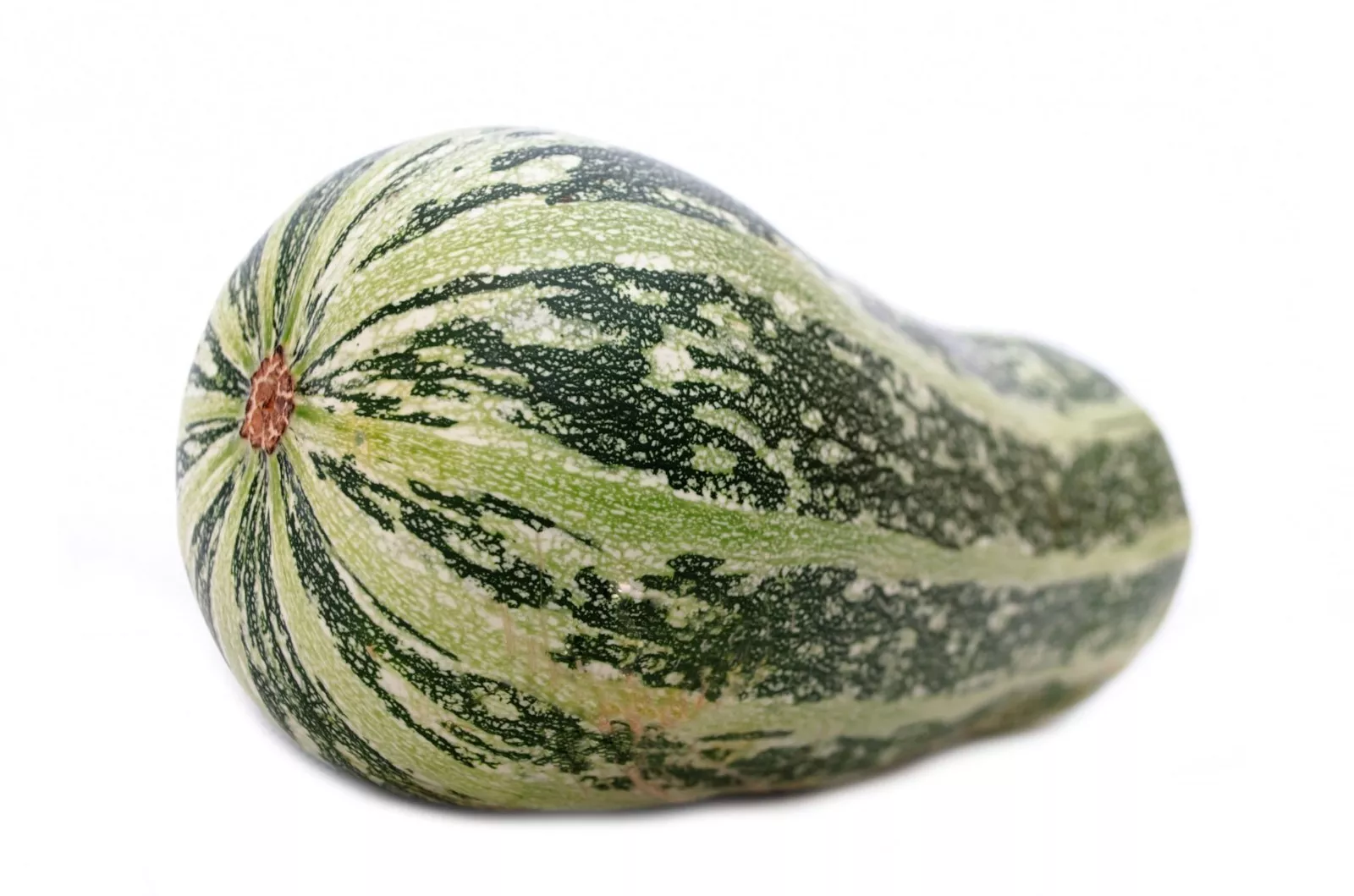 Cushaw Squash - Striped Pumpkin 25 Vegetable Seeds Fall Decorations -Gre... - $26.67 CAD