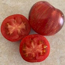 50 + Seeds  Red Lightning Tomato Tomatoe Vegetable Garden Edible Canning From Us - £7.10 GBP