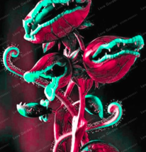 Venus Fly Trap Carnivorous Seed Dionaea Muscipula Cordyceps Color:6 - $9.49