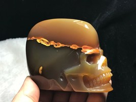 Natural Agate Carved Skull Realistic Healing Crystal Healing L012512-L - £56.79 GBP