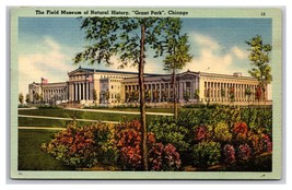 Field Natural History Museum Chicago Illinois IL Linen Postcard D22 - £2.18 GBP