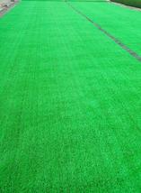 Artificial Grass Fake Lawn  Synthetic Turf Mat  Grass 0.59 inch Height - £85.36 GBP