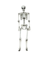 Halloween Skeleton Life Size 5.4-Feet Realistic Full Body Hanging Indoor... - £75.26 GBP