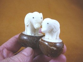 TNE-ELE-268-B) Mama Baby Elephant Tagua Nut Figurine Carving Vegetable Elephants - $34.27