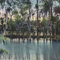 Augusta Georgia Vintage Postcard Antique Lovers Lane Lake Scene - £6.91 GBP