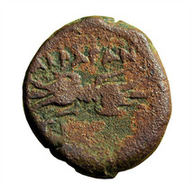 Ancient Greek Coin Akragas Sicily AE14mm Zeus / Thunderbolt 02822 - $25.19