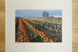 Tom Adams Photography Field of Tulips Wooden Shoe Farm Oregon Photo Art 11X14 - £23.13 GBP