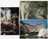 3 Mirage Hotel Postcards The Strip Las Vegas Nevada Tigers Rain Forest W... - £10.84 GBP